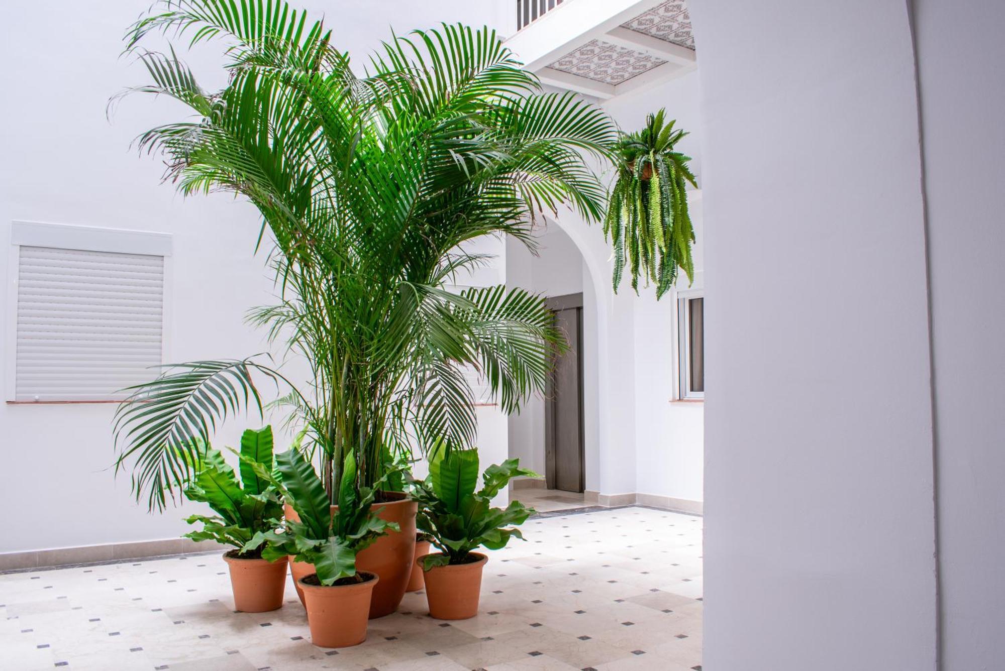 Ribera Del Rio 36 Appartement El Puerto de Santa María